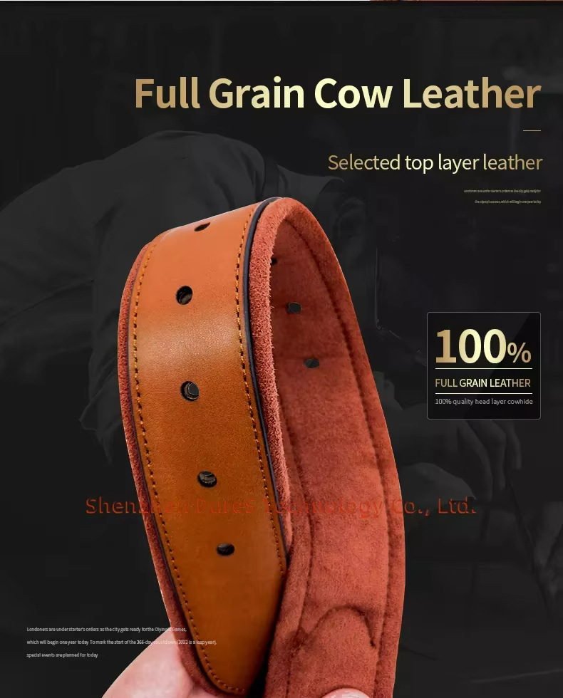 Leather Dog Collar with Tracke - Airtag Holder Case avis et prix